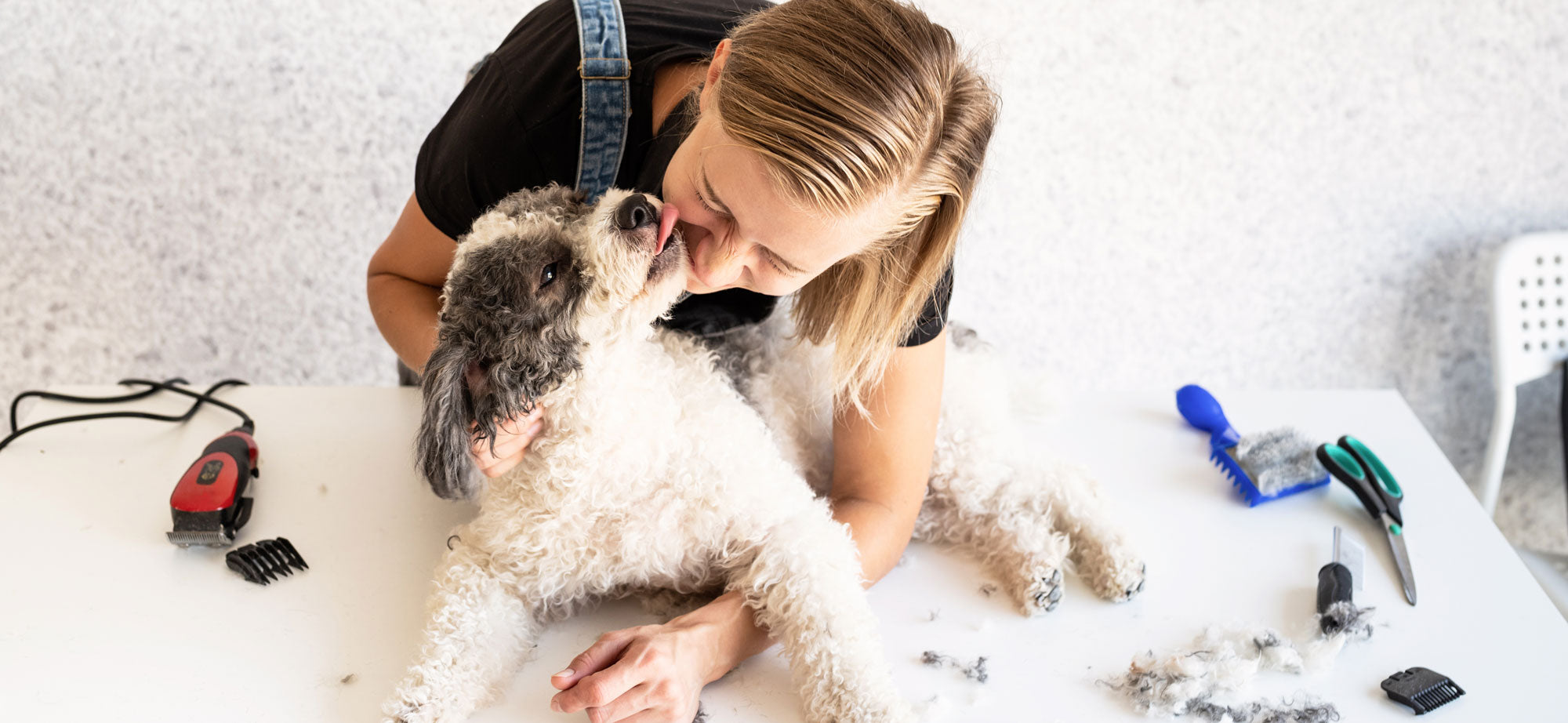 how often should i groom my dog