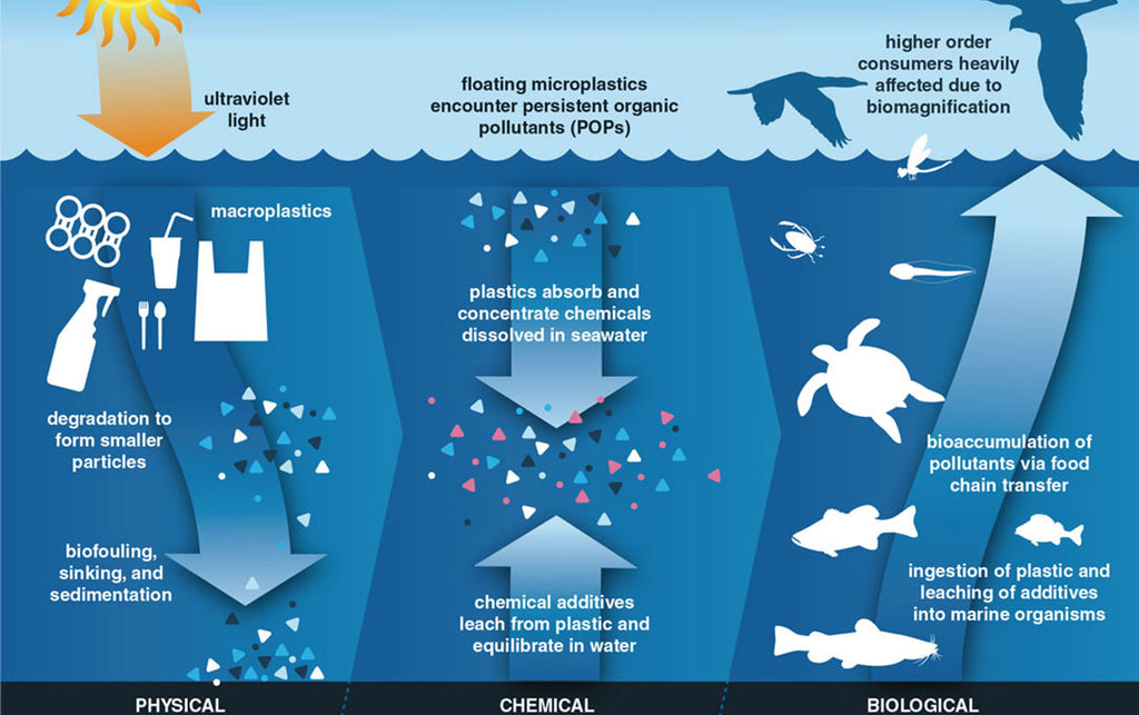 Plastic, plastic free, plastic pollution, zero plastic,  Australia plastic pollution , clean oceans, ocean clean up, stop plastic waste, micro plastic, plastic waste, microplastic, microplastic australia, microplastic pollution in australia, ocean microplastics