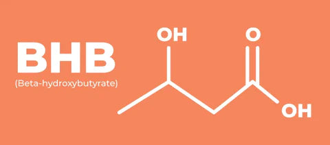 BHB Beta-Hydroxybutyrat