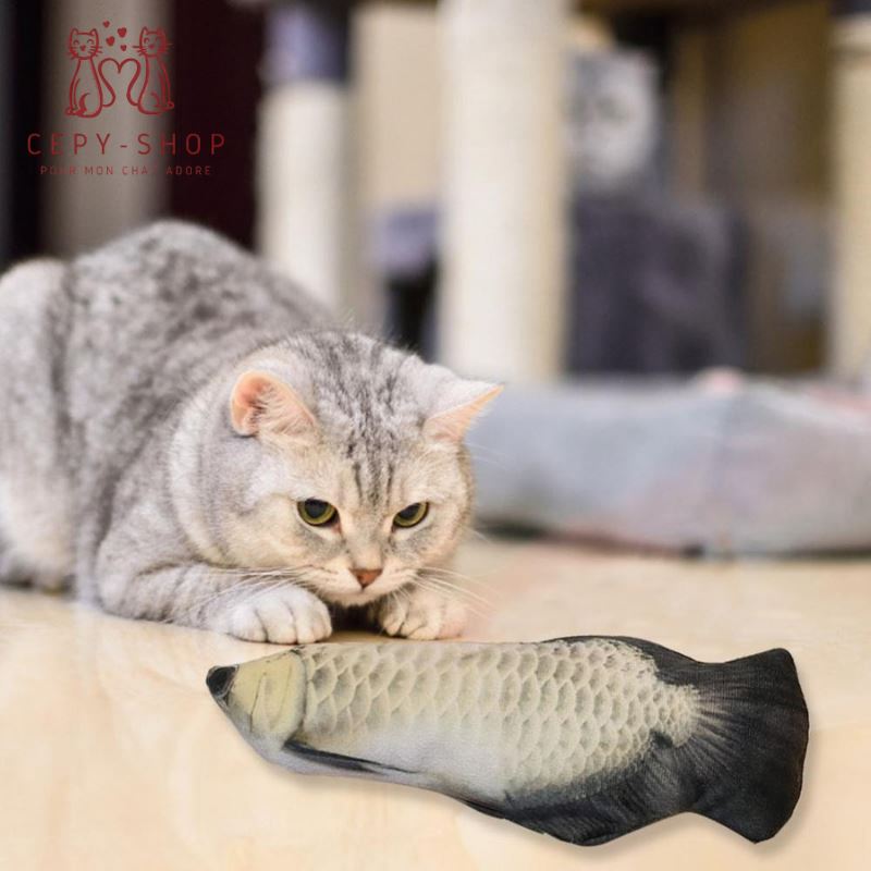 Jeux Poisson Pour Chat Cepy Shop