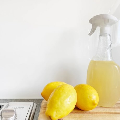 A cleaner with lemons