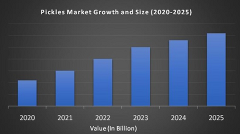 the market size in 2022, the projected market size by 2030, and the CAGR from 2023 to 2030 for the pickles industry.