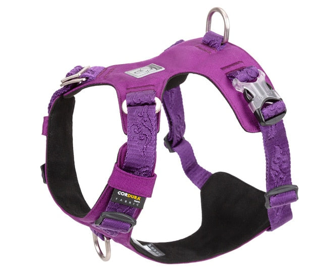 purple tactical dog harness