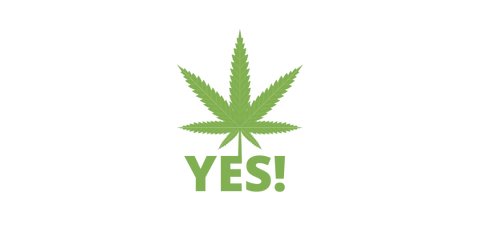 cannabis yes!