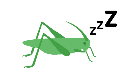 grasshopper sleeping