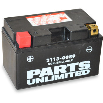 Parts Unlimited Lithium LiFePO4 Battery YTX9-BS