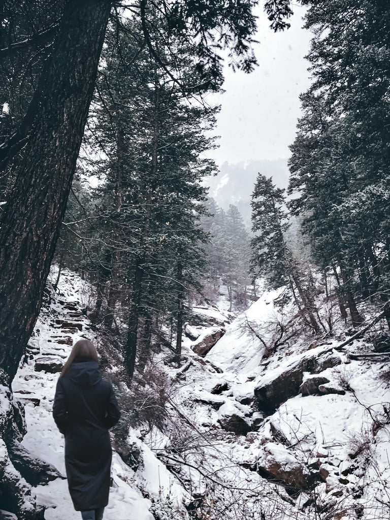 picture taken inside a canadian national park in the winter time featuring a female hiker climbing the mountains wearing a navy extended parka