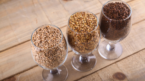 types de malt biere