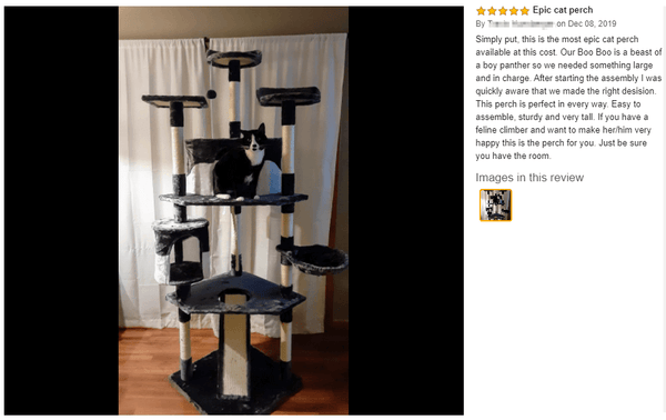 cat tree review