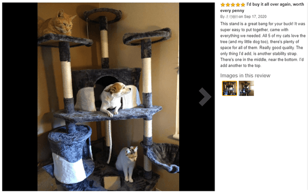 cat tree review