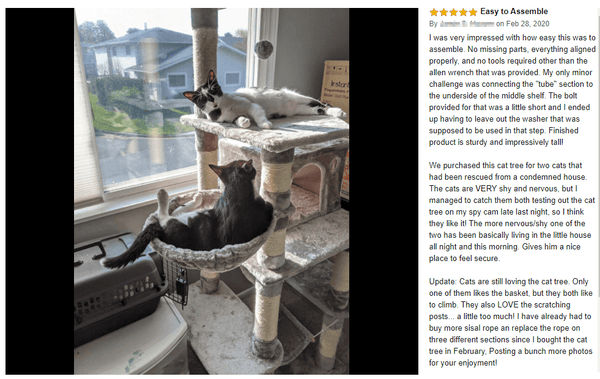 cat tree review