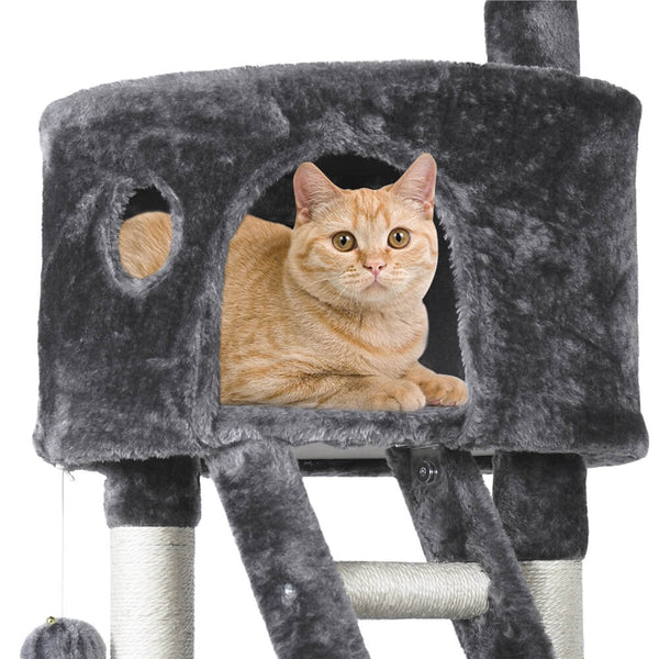 Cat Condo