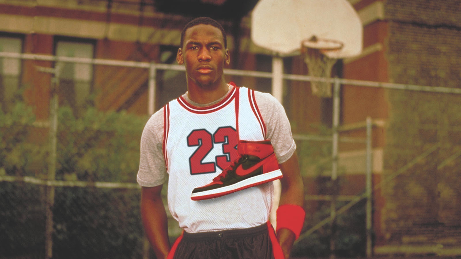 Nike Michael Jordan Cards Chronicle Air Jordan History