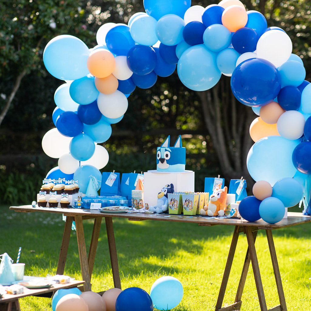 Bluey Party Theme Pack – Little Party Packs