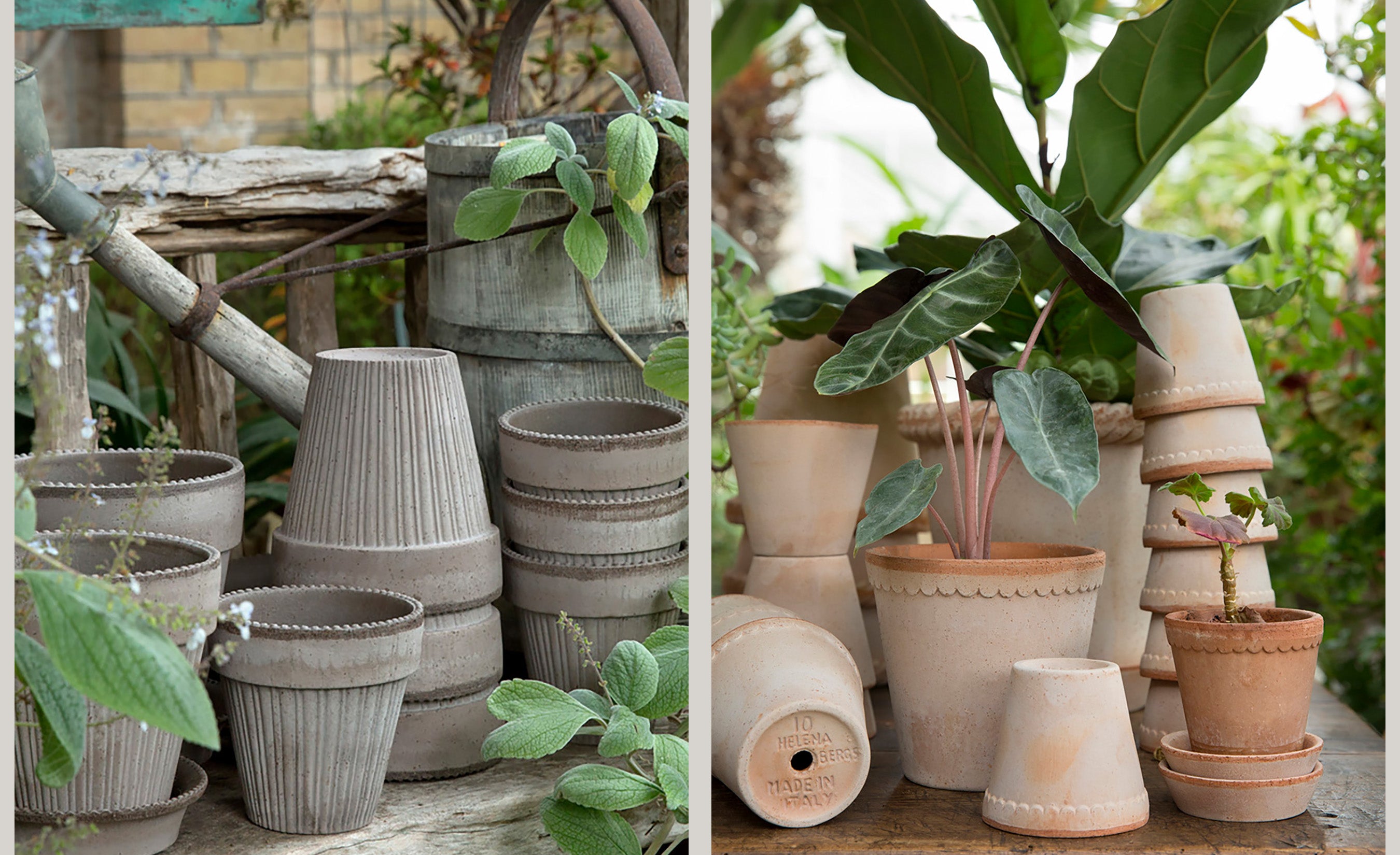 Pots and Flowers