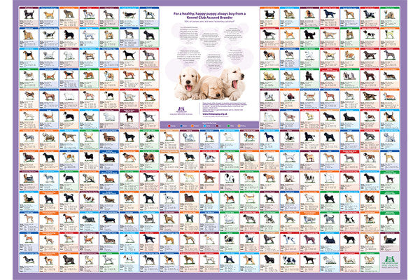 a-z-pedigree-dog-breed-poster-the-kennel-club