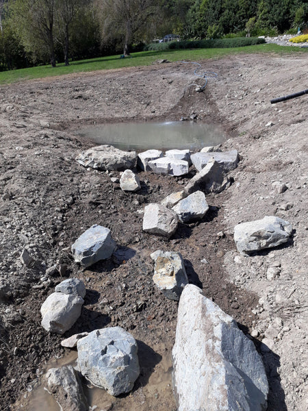 placing rocks in pond
