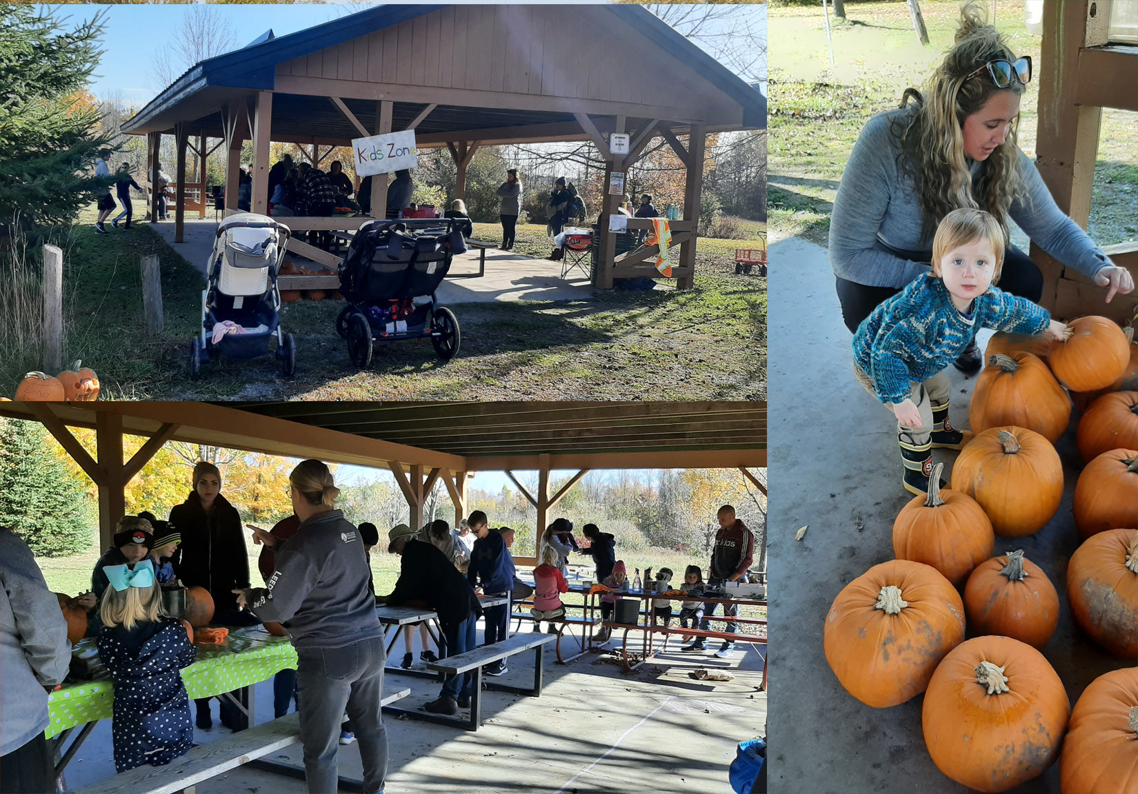 friends of mac johnson fall festival activities