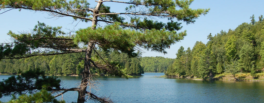 view of lake