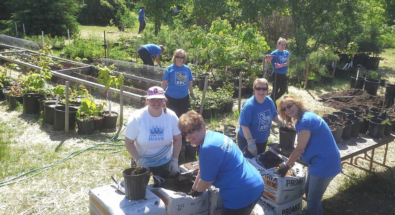 RBC volunteers at MJWA tree nursery