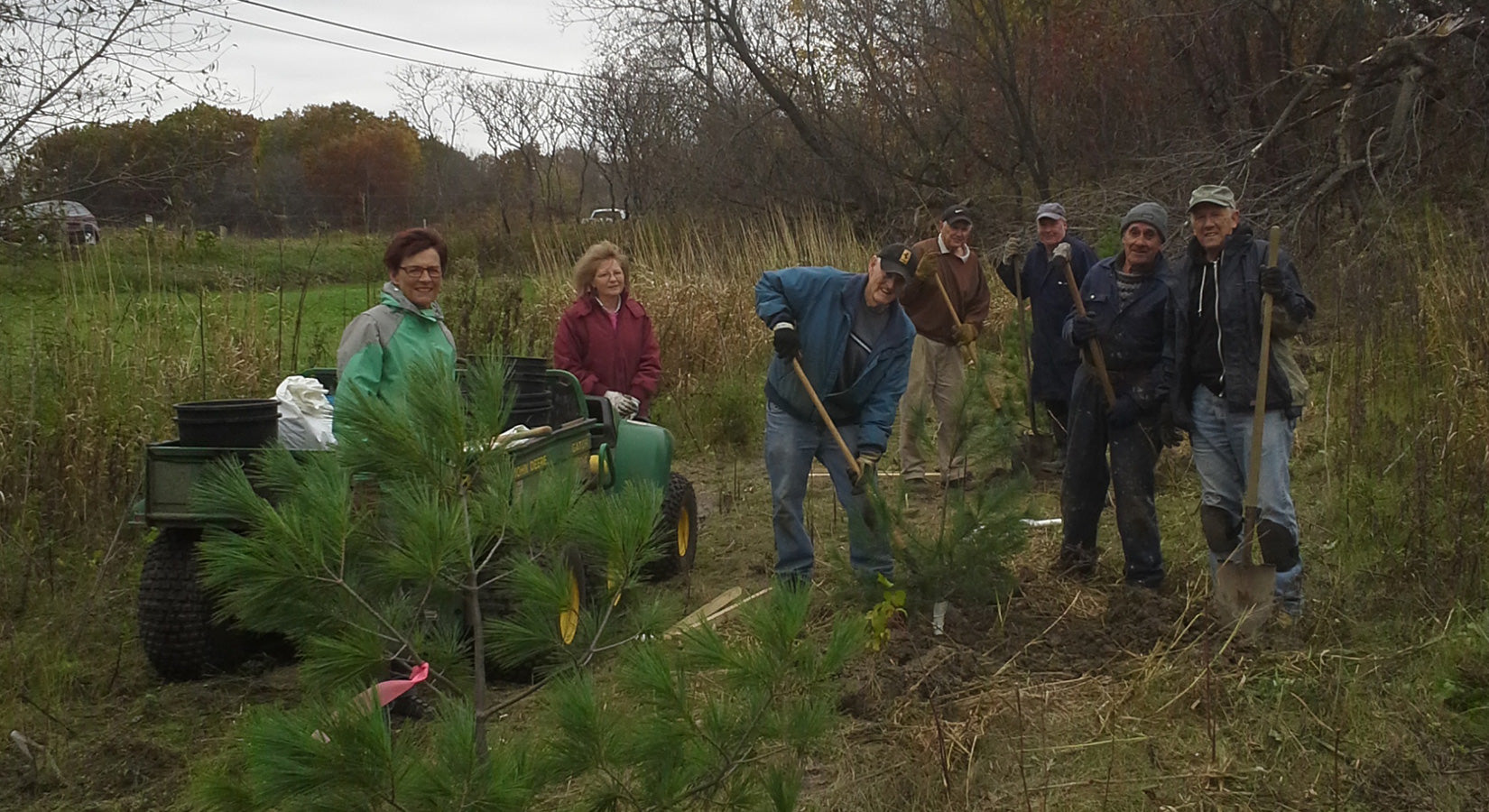 tree planting