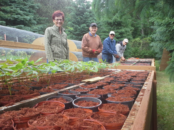 mac johnson wildlife tree nursery