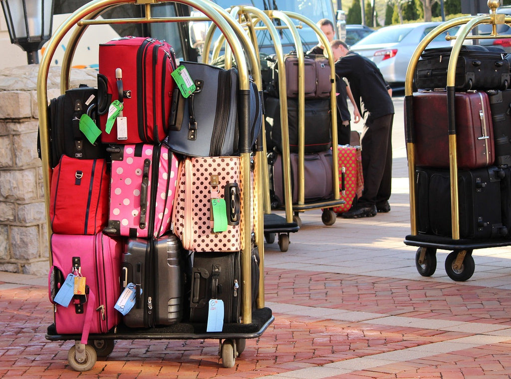Luggage types for travel - Travelking.store