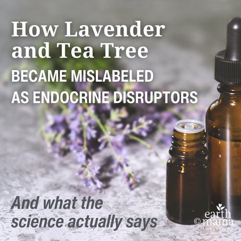 How Lavender and Tea Tree Became Mislabeled as Endocrine Disruptors