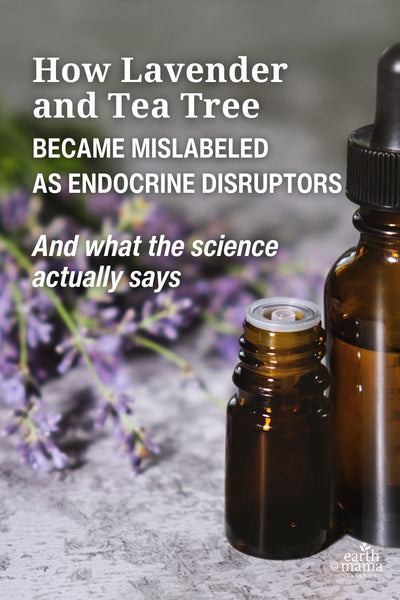 How Lavender and Tea Tree Became Mislabeled as Endocrine Disruptors
