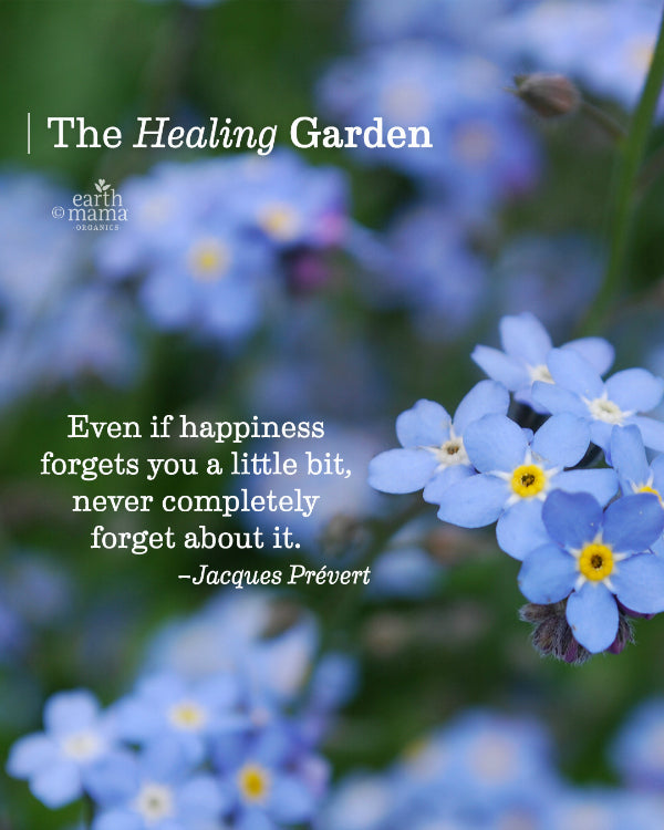 The Healing Garden - Earth Mama Blog