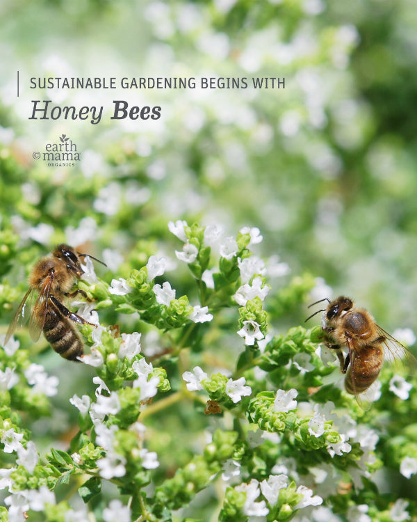 Sustainable Gardening Begins with Honey Bees - Earth Mama Blog