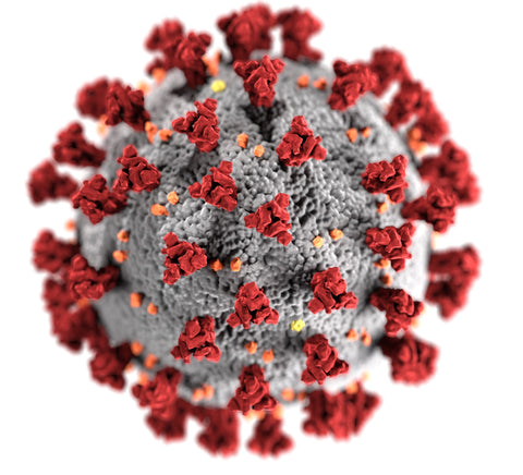 coronavirus molecule