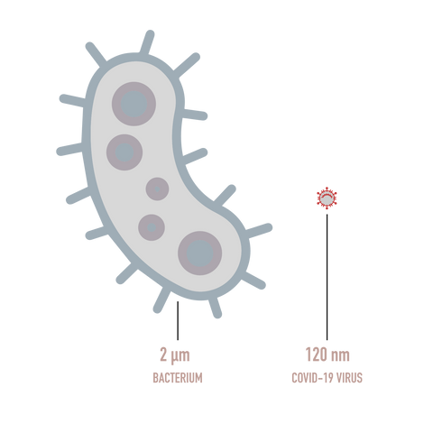 Bacteria vs virus size