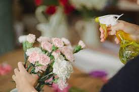 Cómo cuidar tu arreglo floral en oasis/espuma para que dure más tiemp –  Bashari Gift Shop