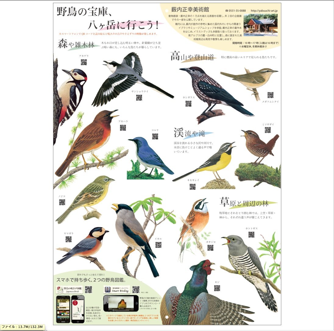薮内正幸イラストカレンダー16 八ヶ岳の野鳥 いきもの細密画アートグッズ