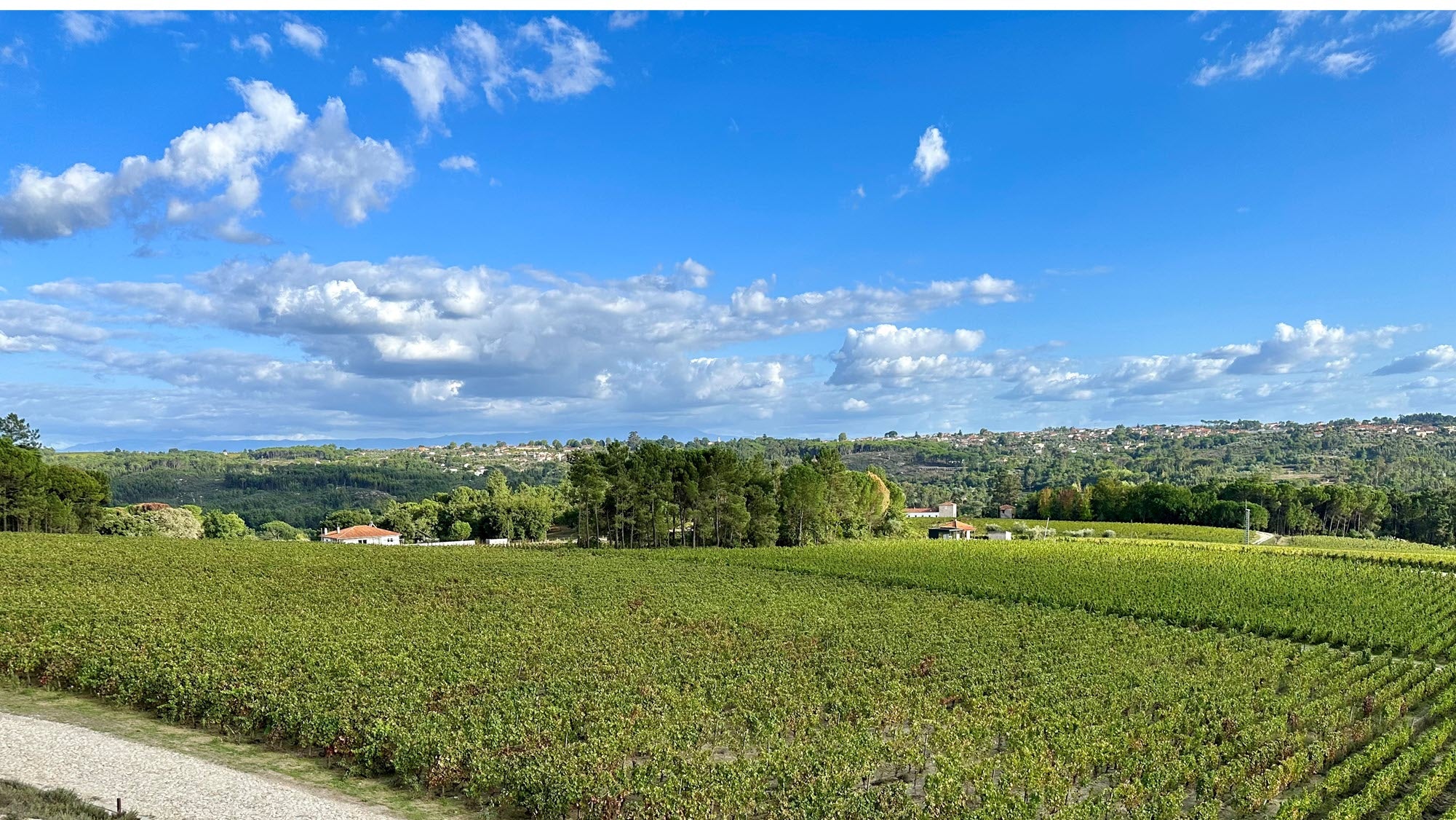 The countryside of Portugal