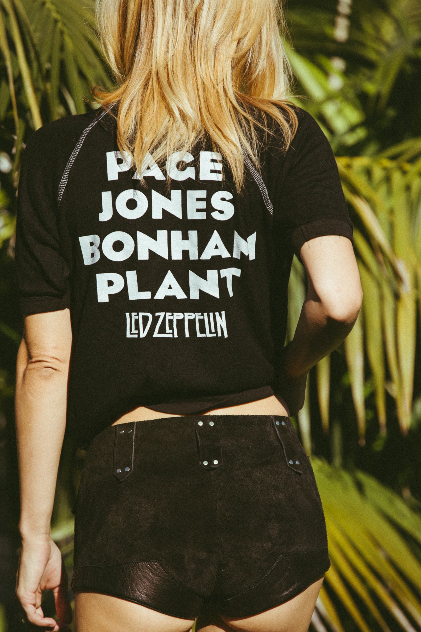 led zeppelin short sleeve icarus raglan