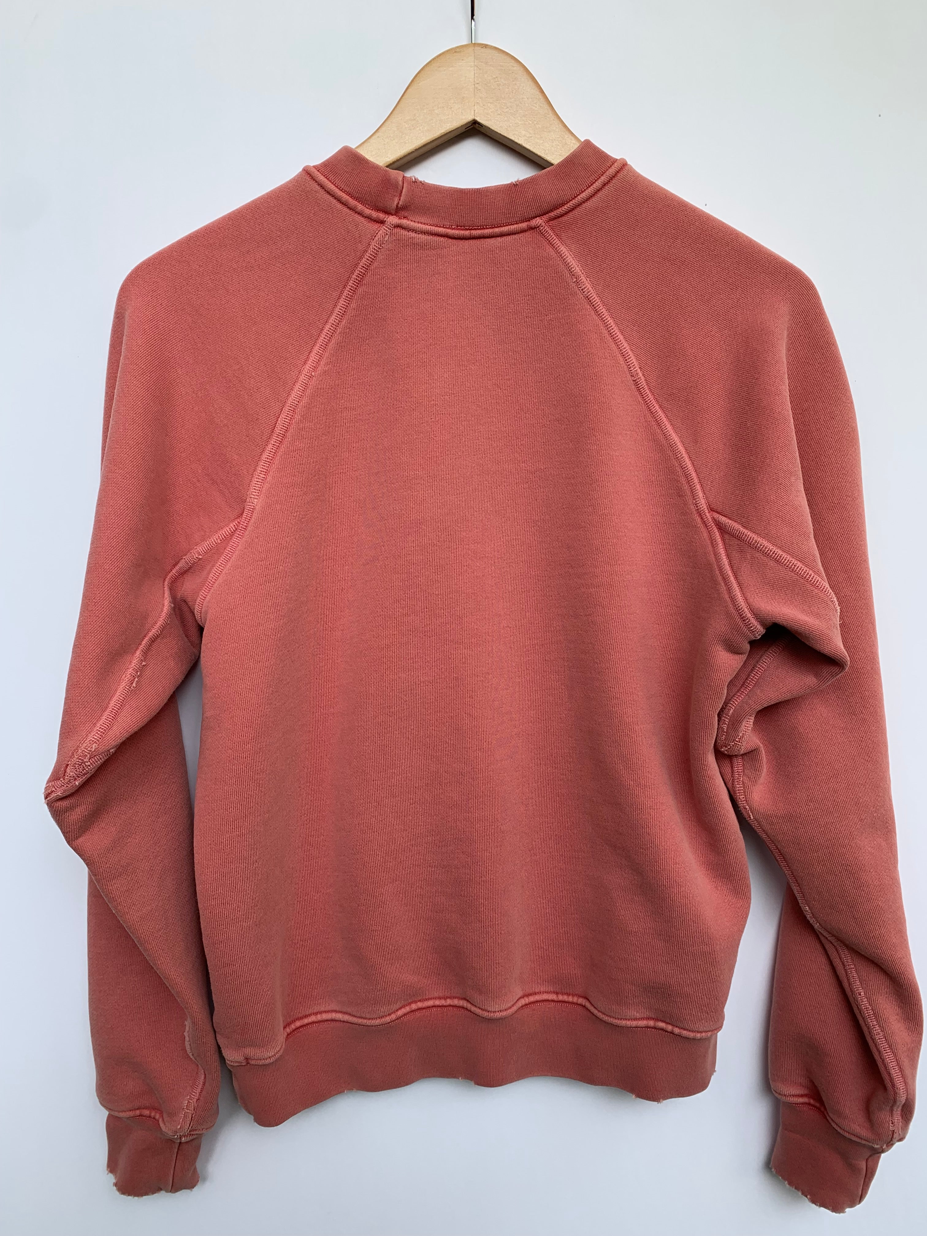 daydream believer sweatshirt in vintage red