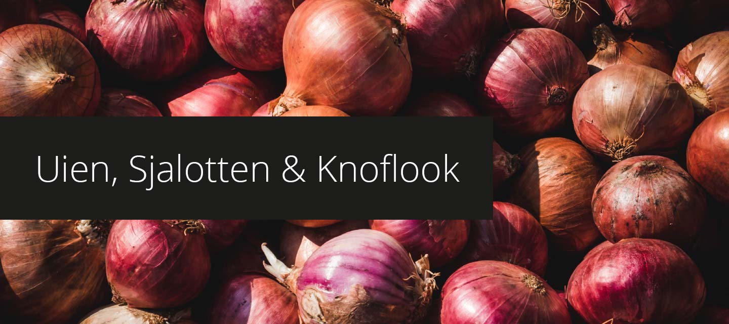 Uien, Sjalotten & Knoflook