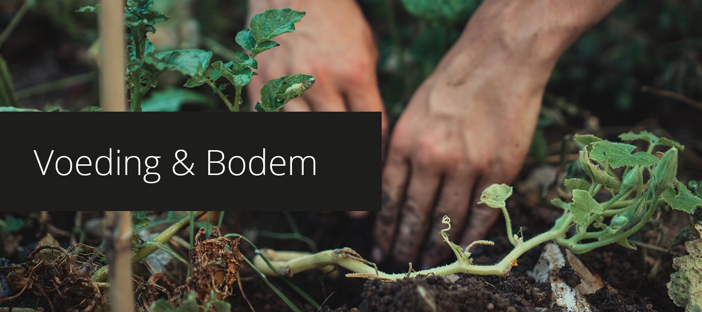 Voeding_en_bodem