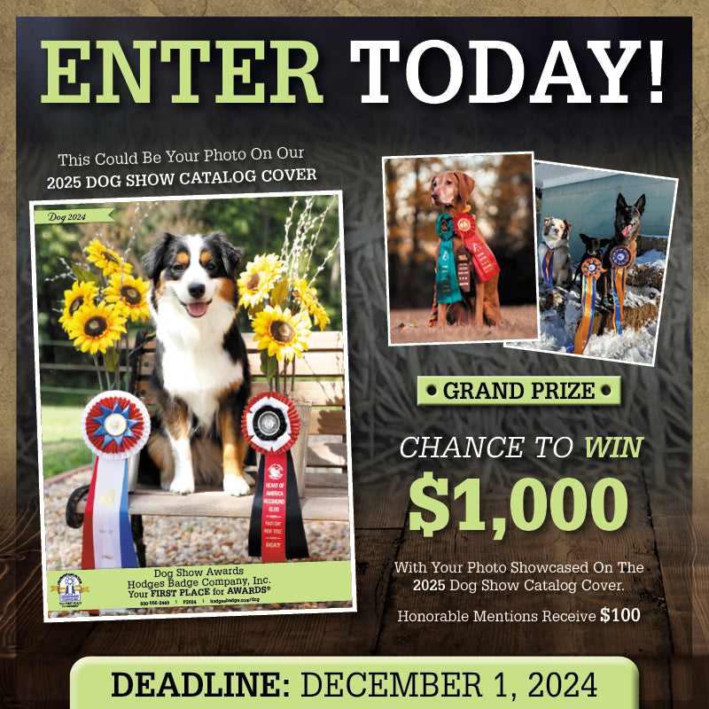 dog_catalog_contest_24.jpg__PID:30681e0c-6d8b-4f79-8c41-4b3113042118