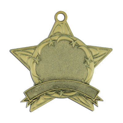 Star, banner, gold insert medal