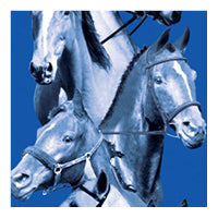 Blue equestrian swatch, collage of horses
