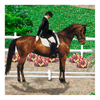 Dressage swatch, horse and rider