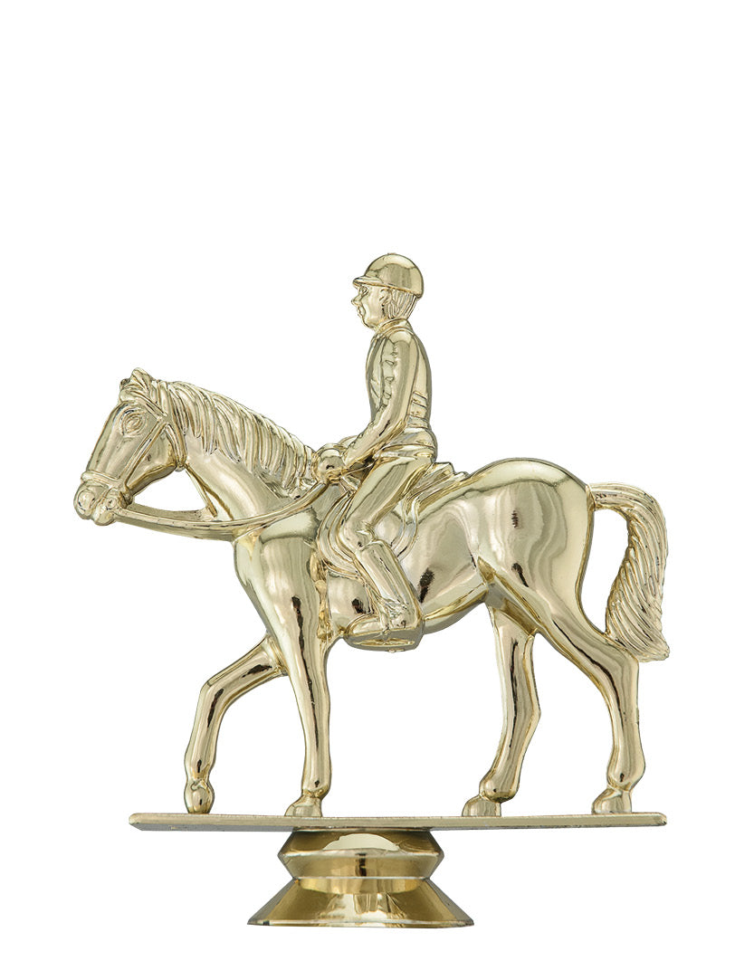 Equestrian, horse and rider
