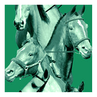 Green equestrian swatch, collage of horses