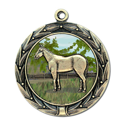 Full horse on meadow background, gold medal