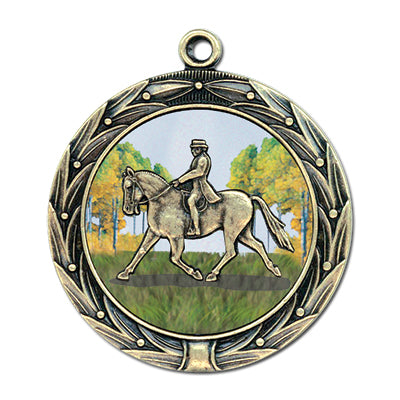 Dressage rider on meadow background, gold medal