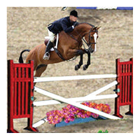 Hunter/Jumper swatch, horse jumping over fence with rider