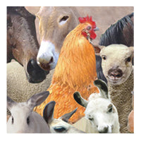 Livestock swatch, farm animals